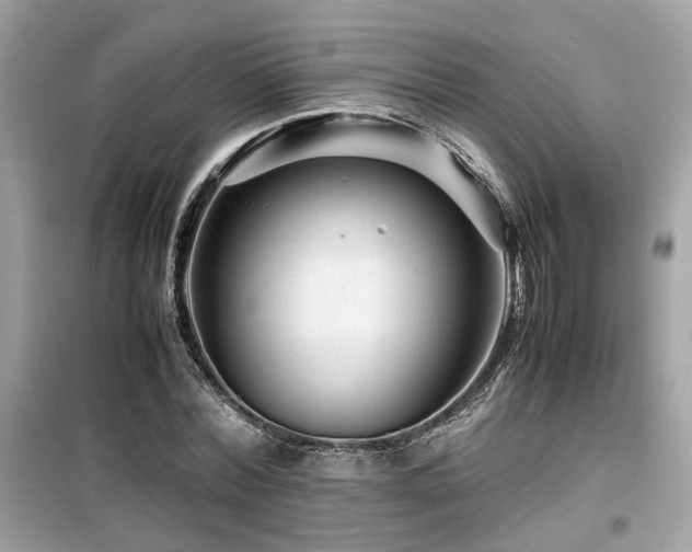 X0000099530780200805161210