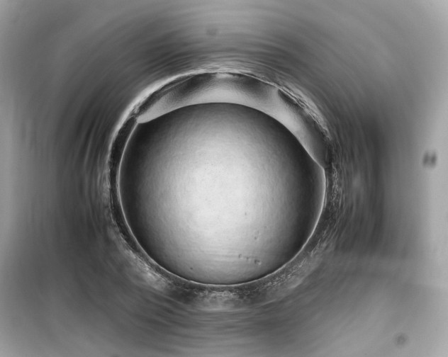 X0000099530784200805161210