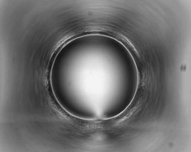 X0000099530786200805161210
