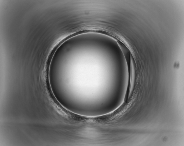 X0000099530787200805161210