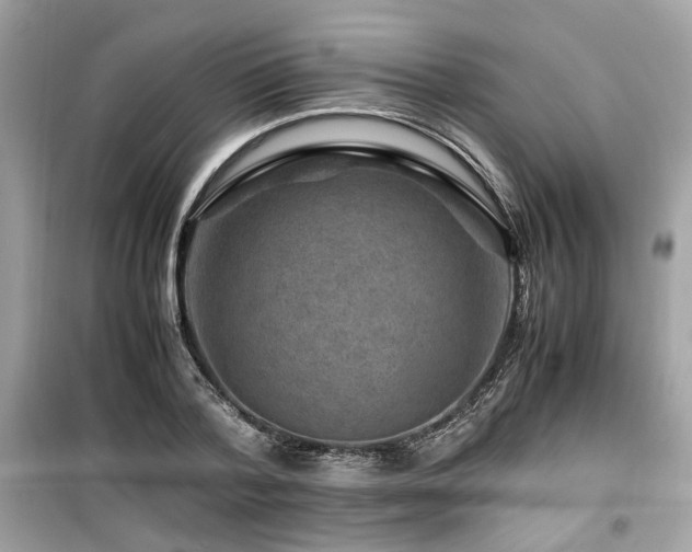 X0000099530788200805161210