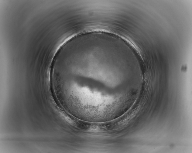 X0000099530790200805161210
