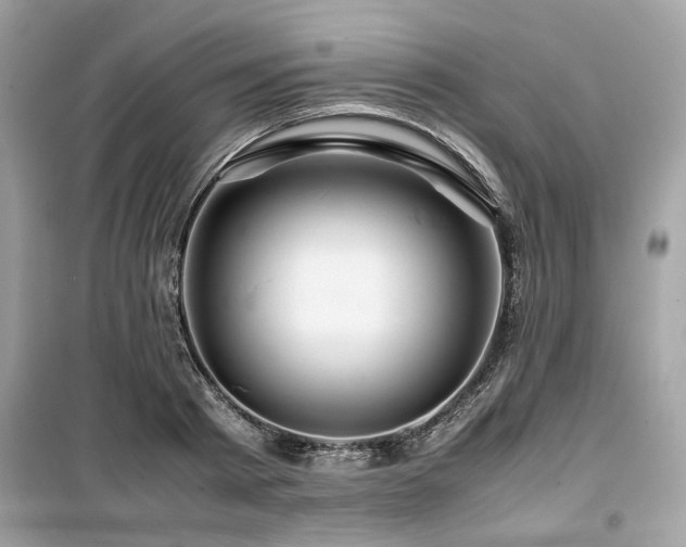 X0000099530793200805161210