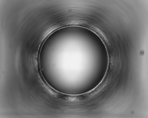 X0000099530794200805161210