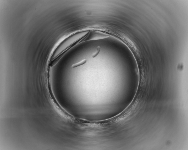 X0000099530800200805161210