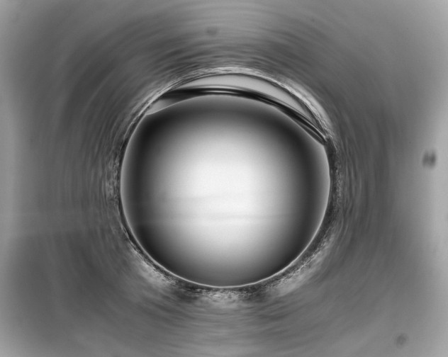 X0000099530801200805161210
