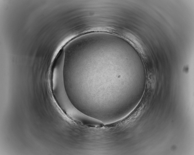 X0000099530804200805161210