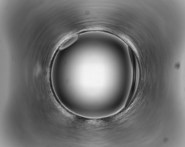 X0000099530805200805161210