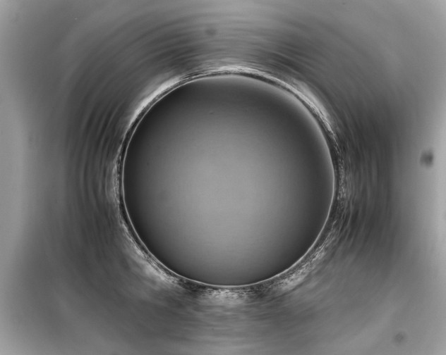 X0000099530806200805161210