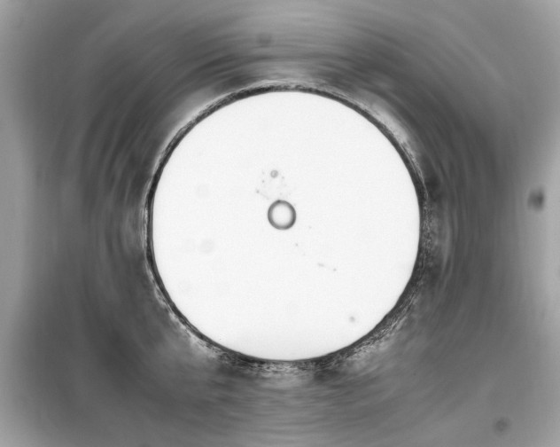 X0000099530807200805161210