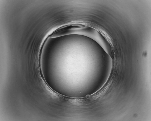 X0000099530808200805161210