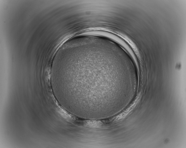 X0000099530809200805161210