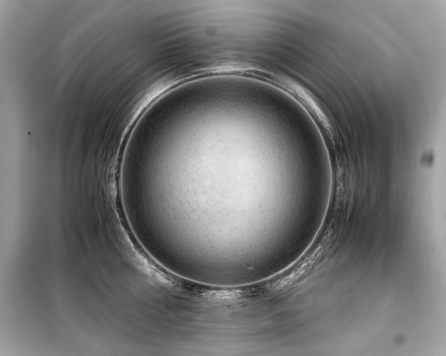 X0000099530810200805161210