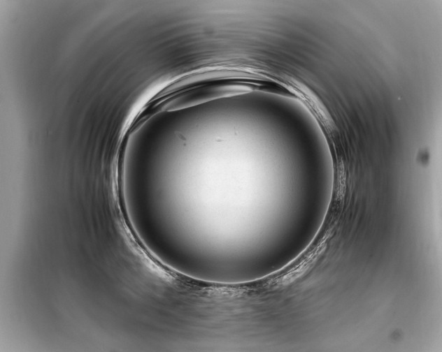 X0000099530812200805161210
