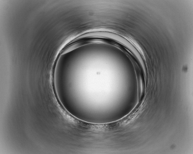 X0000099530813200805161210
