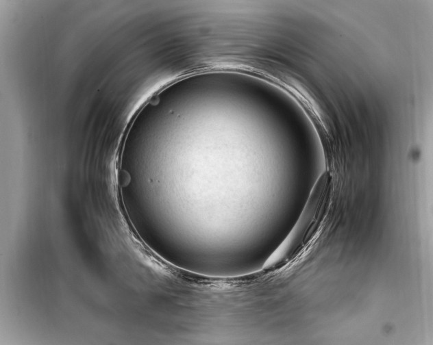X0000099530814200805161210