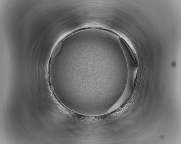 X0000099530815200805161210