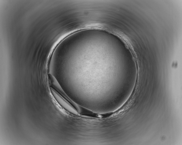 X0000099530816200805161210