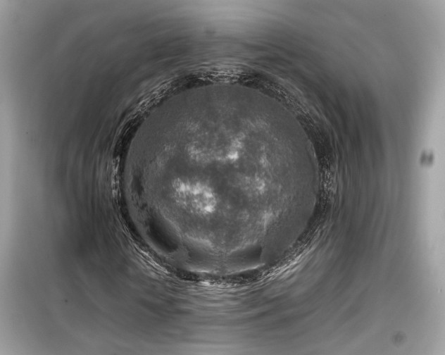 X0000099530818200805161209