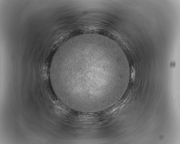 X0000099530819200805161209