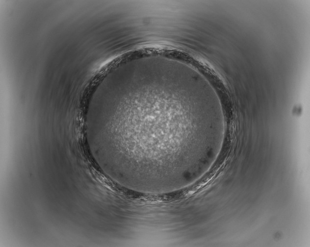 X0000099530822200805161209