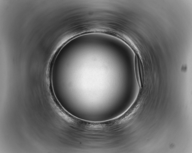 X0000099530843200805161209