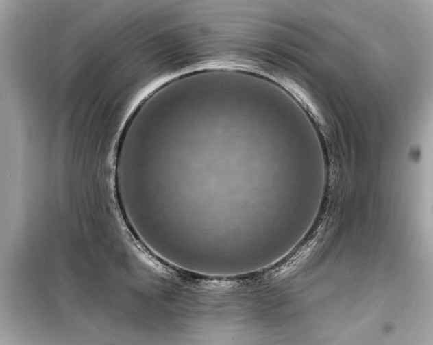 X0000099530854200805161210