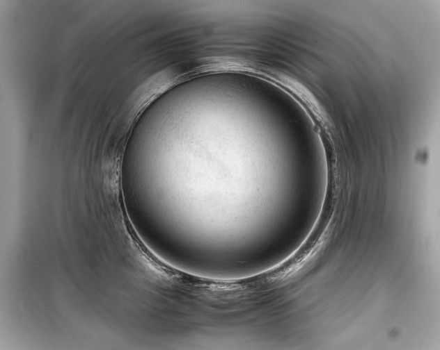 X0000099530857200805161210