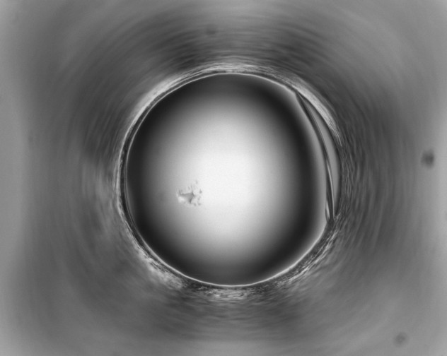 X0000099530861200805161210