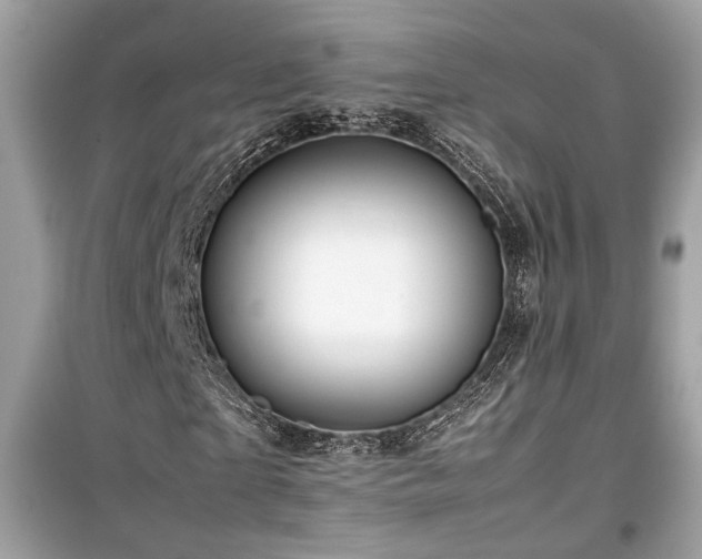 X0000099530865200805161209