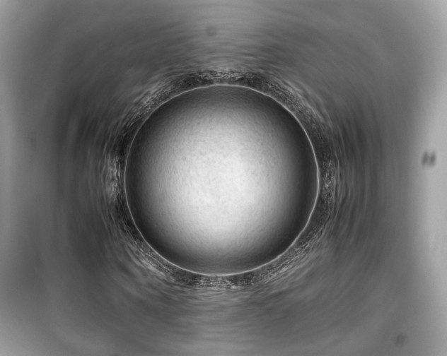 X0000099530866200805161209