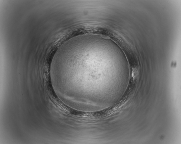 X0000099530867200805161209