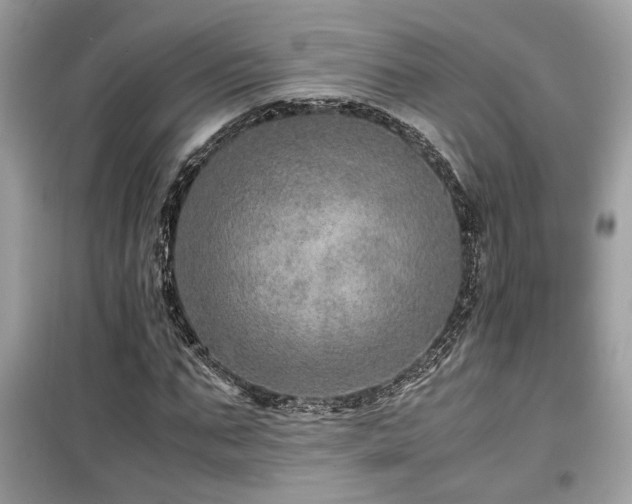 X0000099530871200805161209