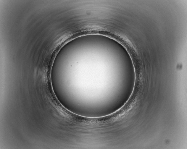 X0000099530873200805161209