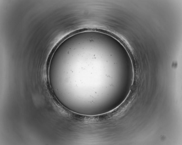 X0000099530887200805161209