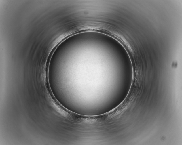 X0000099530890200805161208