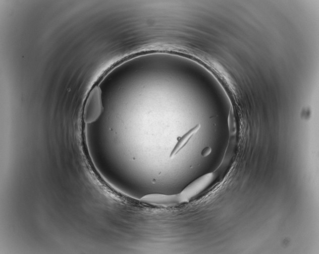 X0000099530896200805161208