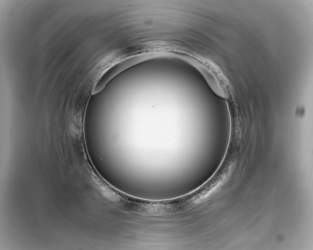 X0000099530897200805161208
