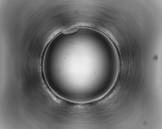 X0000099530898200805161208