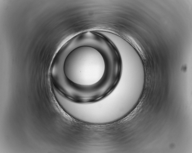 X0000099530900200805161208