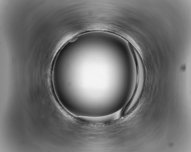 X0000099530901200805161208