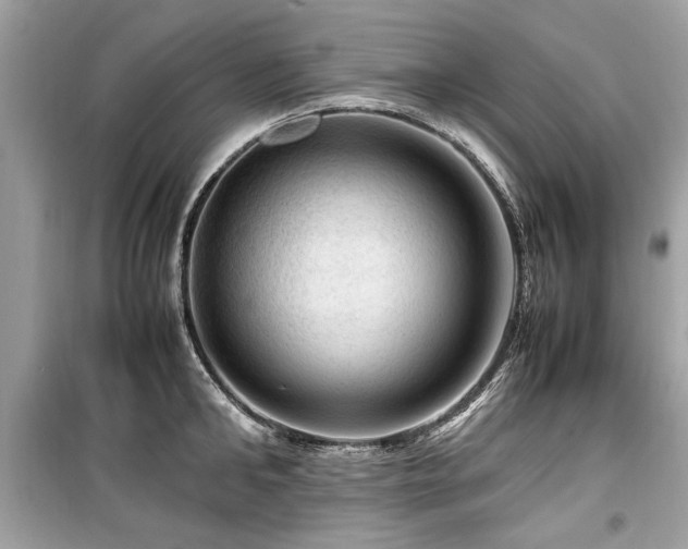 X0000099530902200805161208