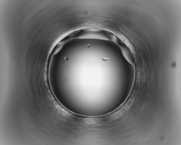 X0000099530904200805161208