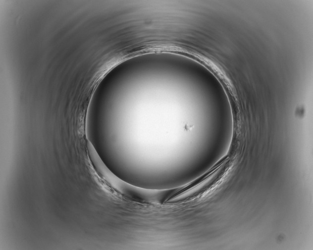 X0000099530905200805161208