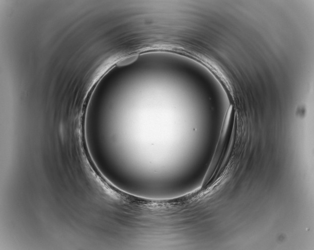 X0000099530906200805161208