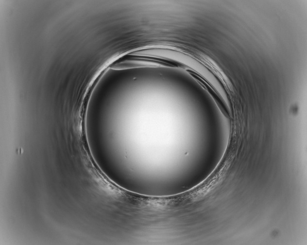 X0000099530908200805161208