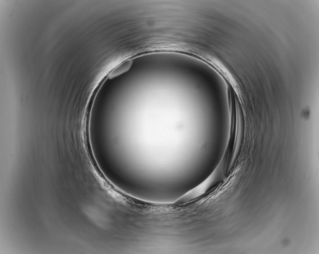 X0000099530909200805161208