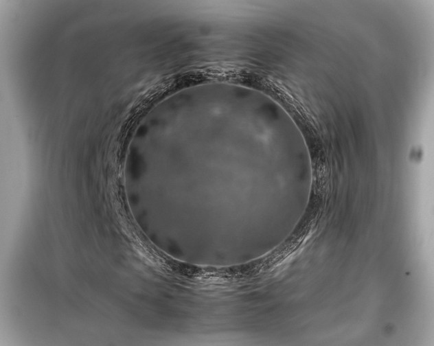 X0000099530913200805161207
