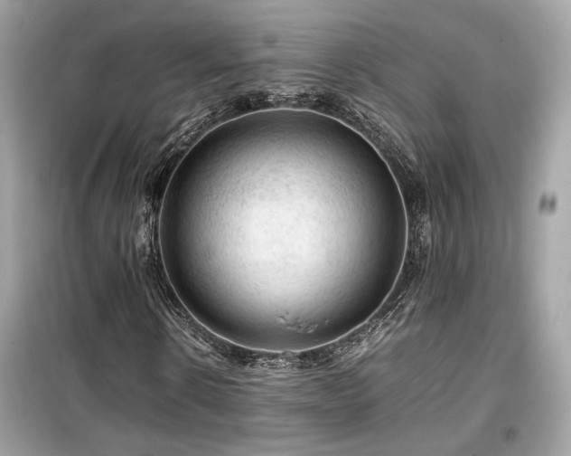 X0000099530914200805161207