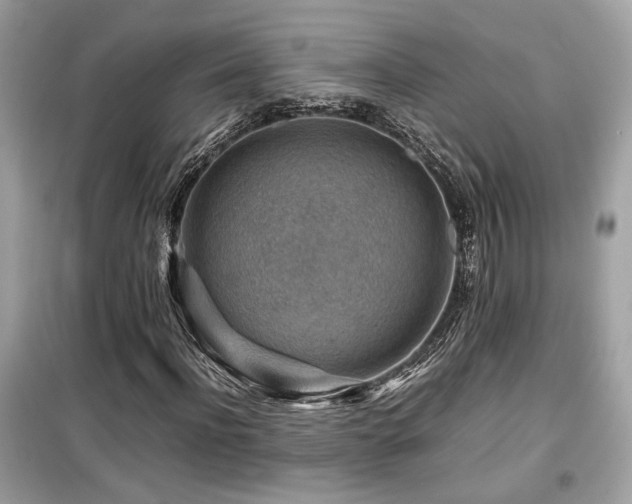 X0000099530916200805161208